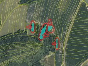 Prodej lesa, Klatovy, 8497 m2