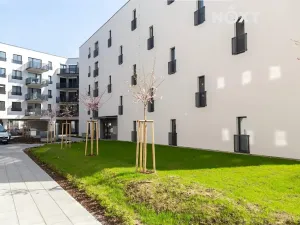 Pronájem bytu 2+kk, Olomouc, Wolkerova, 51 m2