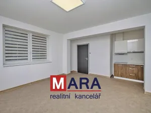 Pronájem bytu 1+kk, Olomouc, Přichystalova, 47 m2