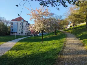 Pronájem bytu 3+kk, Plzeň, U Ježíška, 70 m2