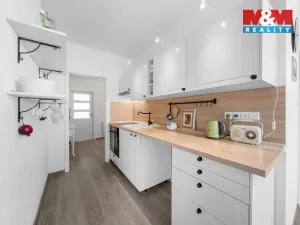 Prodej bytu 2+1, Ústí nad Labem - Krásné Březno, U Pivovarské zahrady, 65 m2