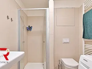 Prodej bytu 1+kk, Brno, Turgeněvova, 40 m2