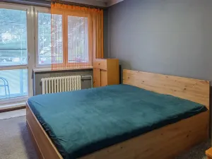 Prodej bytu 3+1, Veselí nad Moravou, Zemědělská, 61 m2