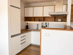 Pronájem bytu 3+kk, Brno, Majdalenky, 120 m2