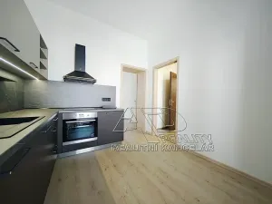 Pronájem bytu 1+1, České Budějovice, Fráni Šrámka, 40 m2