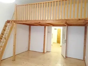 Pronájem bytu 1+1, Praha - Vinohrady, Řipská, 46 m2