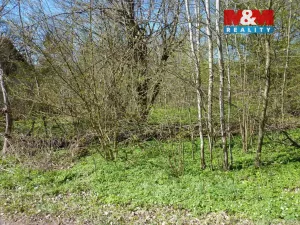 Prodej pozemku pro bydlení, Brzice, 1453 m2