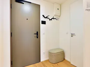 Pronájem bytu 1+kk, Brno, Bratislavská, 44 m2