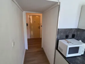 Pronájem bytu 1+1, Frýdek-Místek, Pionýrů, 37 m2