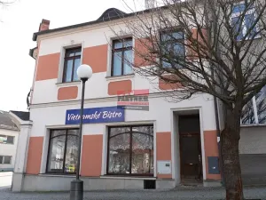 Prodej vícegeneračního domu, Veselí nad Lužnicí, náměstí T. G. Masaryka, 262 m2