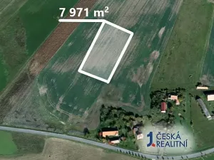 Prodej podílu pole, Dolní Ředice, 1992 m2