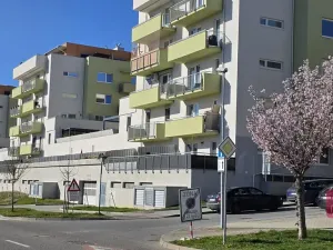 Prodej bytu 2+kk, Brno, Křepelčí, 71 m2