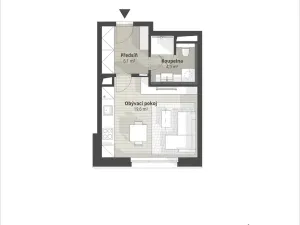 Pronájem bytu 1+kk, Liberec, Polní, 35 m2