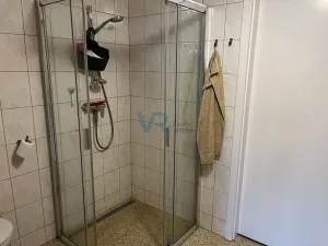 Prodej rodinného domu, Planá, 150 m2