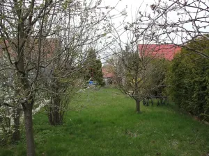 Pronájem zahrady, Blížkovice, 286 m2