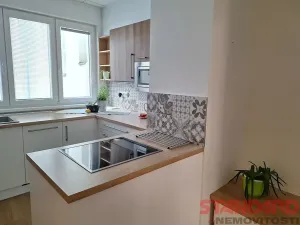 Pronájem bytu 1+1, Plzeň, Solní, 50 m2