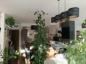Prodej bytu 2+kk, Praha - Vysočany, Pod Harfou, 53 m2