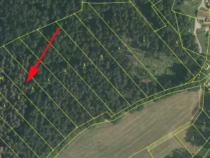 Prodej lesa, Zlatá Koruna, 4921 m2
