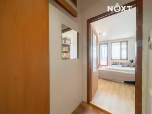 Prodej bytu 1+kk, Frýdek-Místek, Hasičská, 30 m2