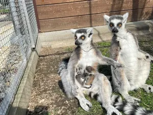 Prodej ubytování, Lipová-lázně, 703 m2