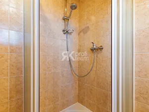 Prodej vícegeneračního domu, Ostrava, 1. května, 170 m2