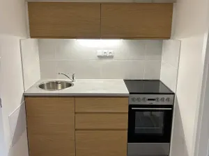 Pronájem bytu 2+1, Brno, Dřevařská, 48 m2