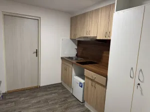Pronájem bytu 1+kk, Zlín, U Náhonu, 29 m2