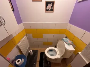 Pronájem bytu 2+1, Česká Ves, Jánského, 56 m2