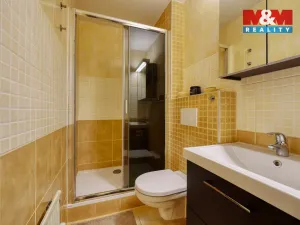 Prodej bytu 2+kk, Železná Ruda - Alžbětín, 55 m2