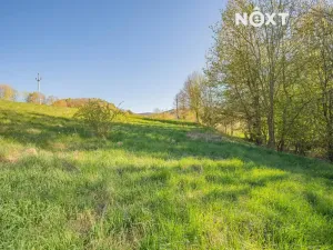 Prodej pozemku pro bydlení, Velké Losiny, 1856 m2