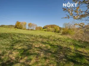 Prodej pozemku pro bydlení, Velké Losiny, 1856 m2