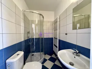 Pronájem bytu 1+kk, Olomouc - Hodolany, Zeyerova, 19 m2