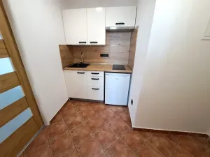 Pronájem bytu 1+kk, Hradec Králové, Pražská třída, 35 m2
