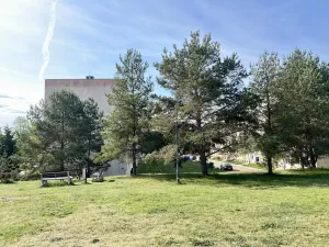 Pronájem bytu 1+1, Luštěnice - Zelená, 31 m2