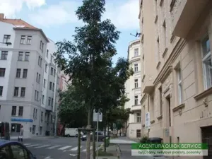Pronájem bytu 1+kk, Praha - Žižkov, Kubelíkova, 29 m2