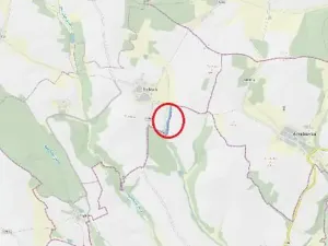 Prodej lesa, Buřenice, 9049 m2
