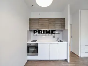 Pronájem bytu 1+kk, Praha - Vinohrady, Lucemburská, 30 m2
