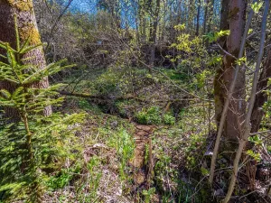 Prodej bytu 1+kk, Janov nad Nisou, 27 m2