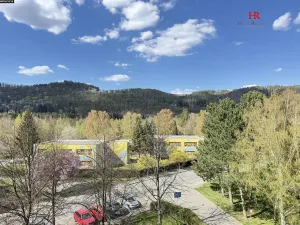 Prodej bytu 1+1, Sázava, Sídliště 9. května, 42 m2