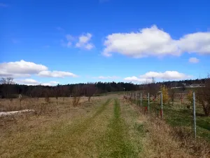 Prodej pozemku pro bydlení, Velká Chmelištná, 20199 m2