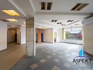 Pronájem obchodního prostoru, Praha - Kobylisy, U třešňovky, 224 m2