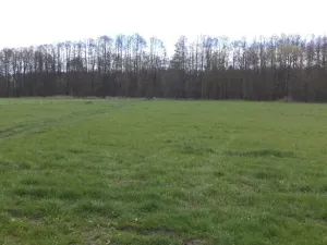 Dražba louky, Tachov, 2609 m2