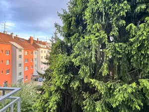 Pronájem bytu 1+kk, Brno, Venhudova, 22 m2