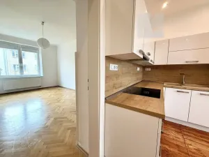 Pronájem bytu 2+kk, Brno, Ryšánkova, 51 m2