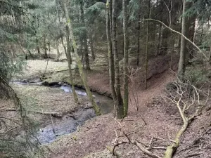 Prodej lesa, Mrákov, 34704 m2