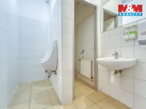 Pronájem obchodního prostoru, Plzeň - Východní Předměstí, Americká, 208 m2