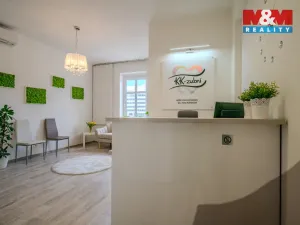 Prodej obchodního prostoru, Ostrava - Moravská Ostrava, Bozděchova, 149 m2