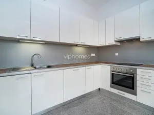 Pronájem bytu 4+kk, Praha - Vinohrady, Na Švihance, 150 m2