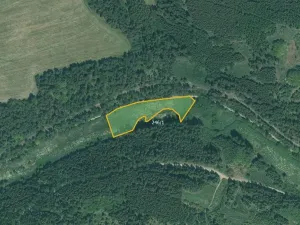 Prodej pole, Bor, 13431 m2