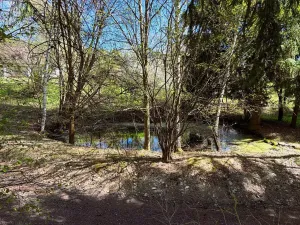 Prodej chalupy, Volenice, 64 m2